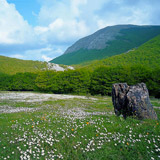 Parco del Monte Cucco